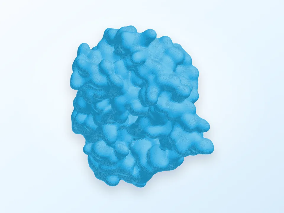 Glutathione S-transferase A1 3D model preview