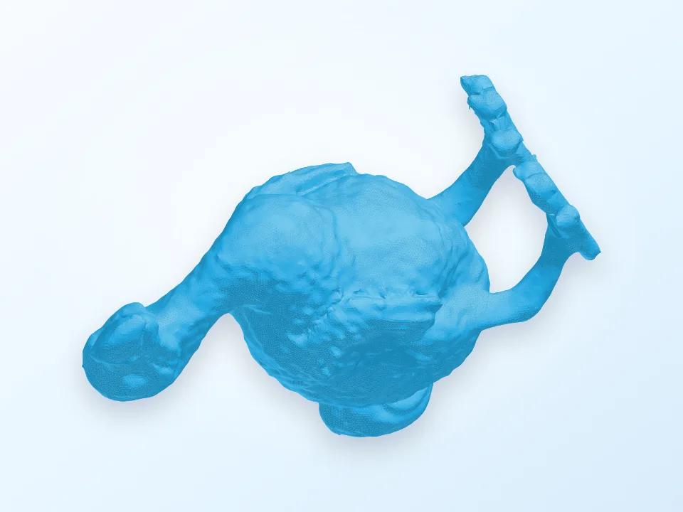 Dodo Bird 3D model preview