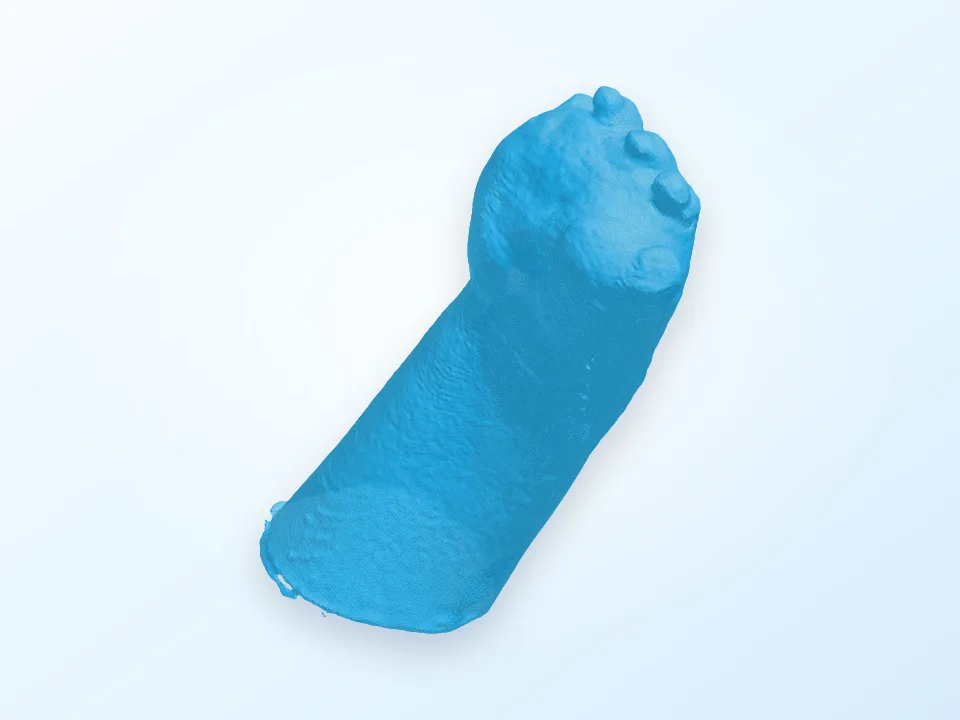 Peregrine Paw 3D model preview