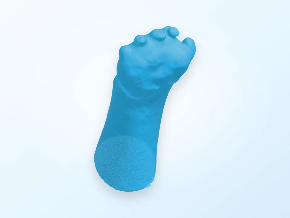 Peregrine's left hand 3D model preview