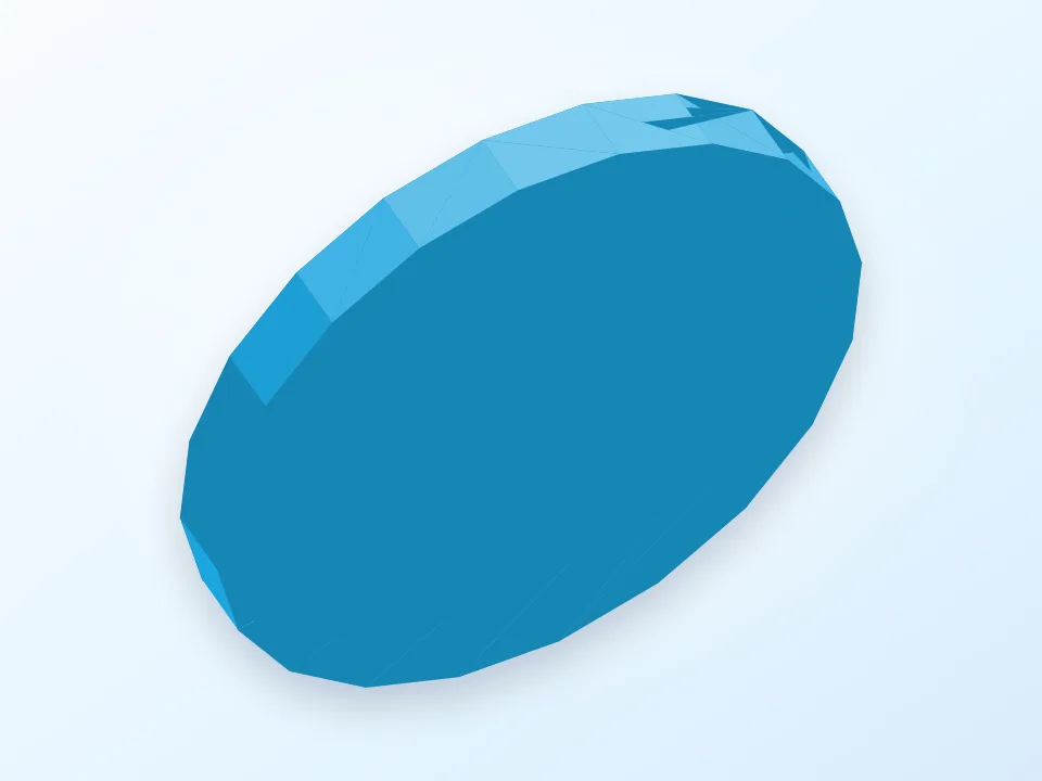 Placer Disks 3D model preview