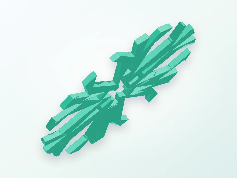 no two snowflakes are the same 3D model preview
