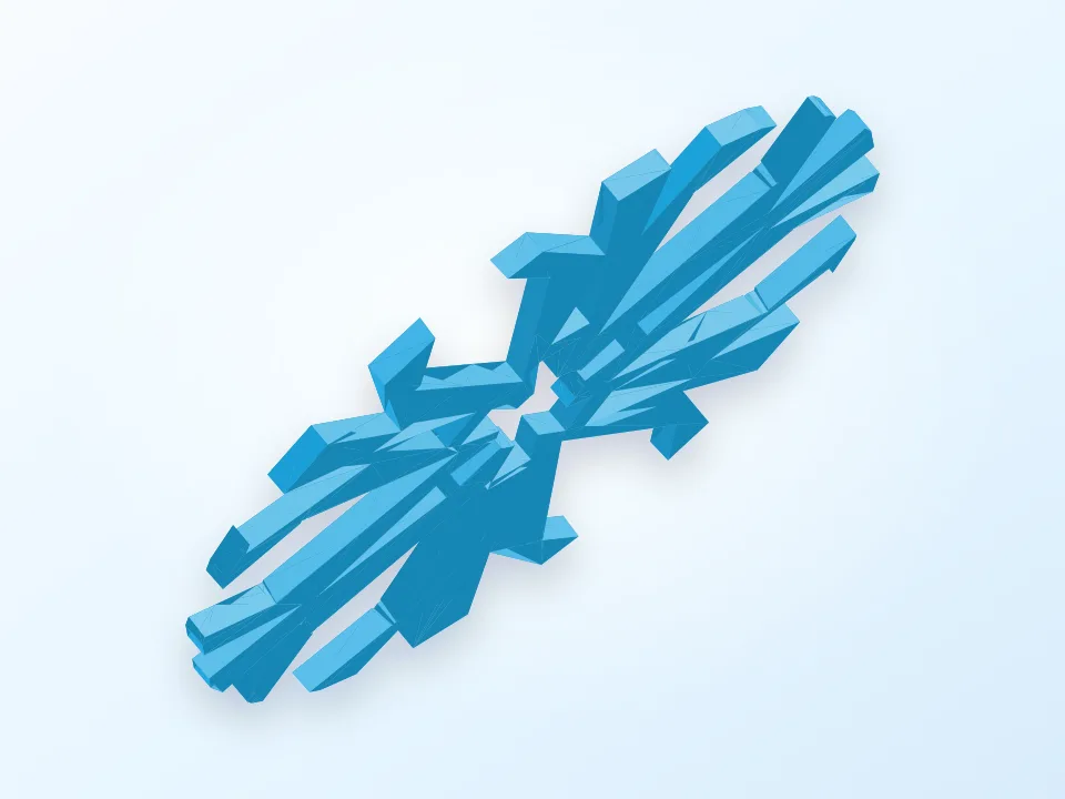 no two snowflakes are the same 3D model preview
