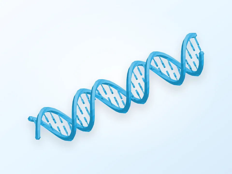 DNA Model 3D model preview