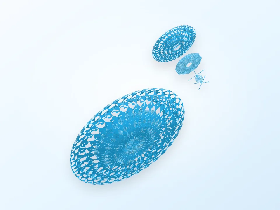 The Winged Disc 03 3D model preview