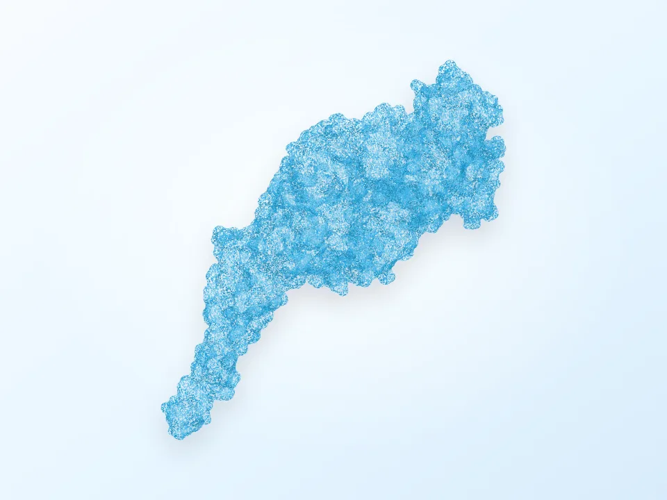 Potassium Channel PDB 1K4C 3D model preview