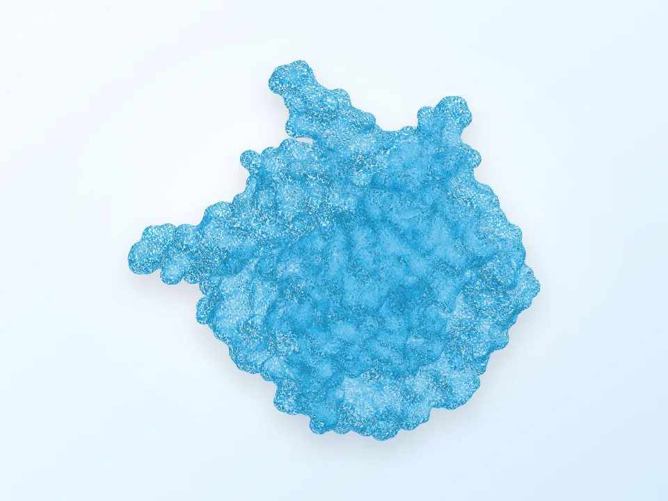 NaK Sodium Potassium Channel PDB 3E89 3D model preview
