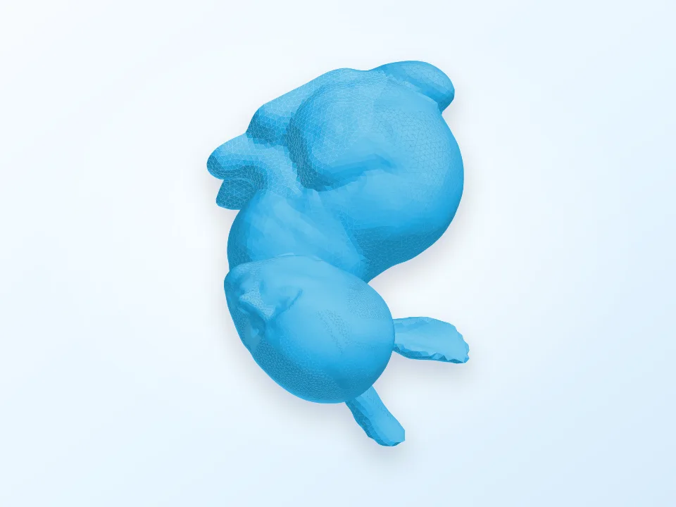 stanford man 3D model preview