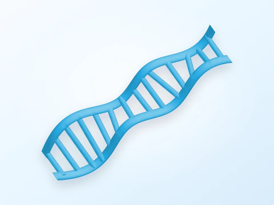 DNA 3D model preview