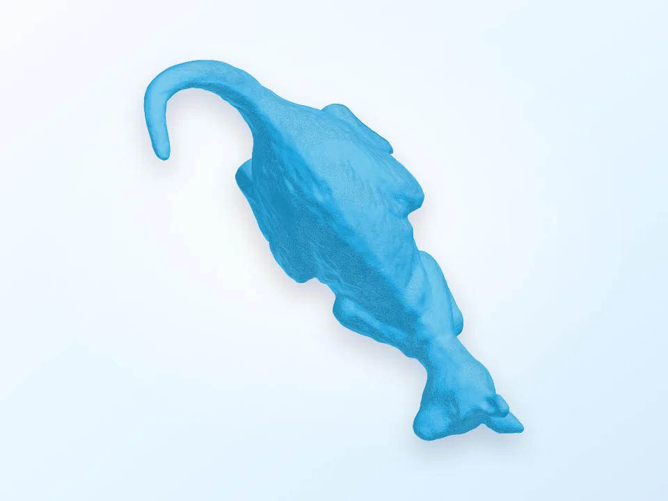 Kangaroo 3D model preview
