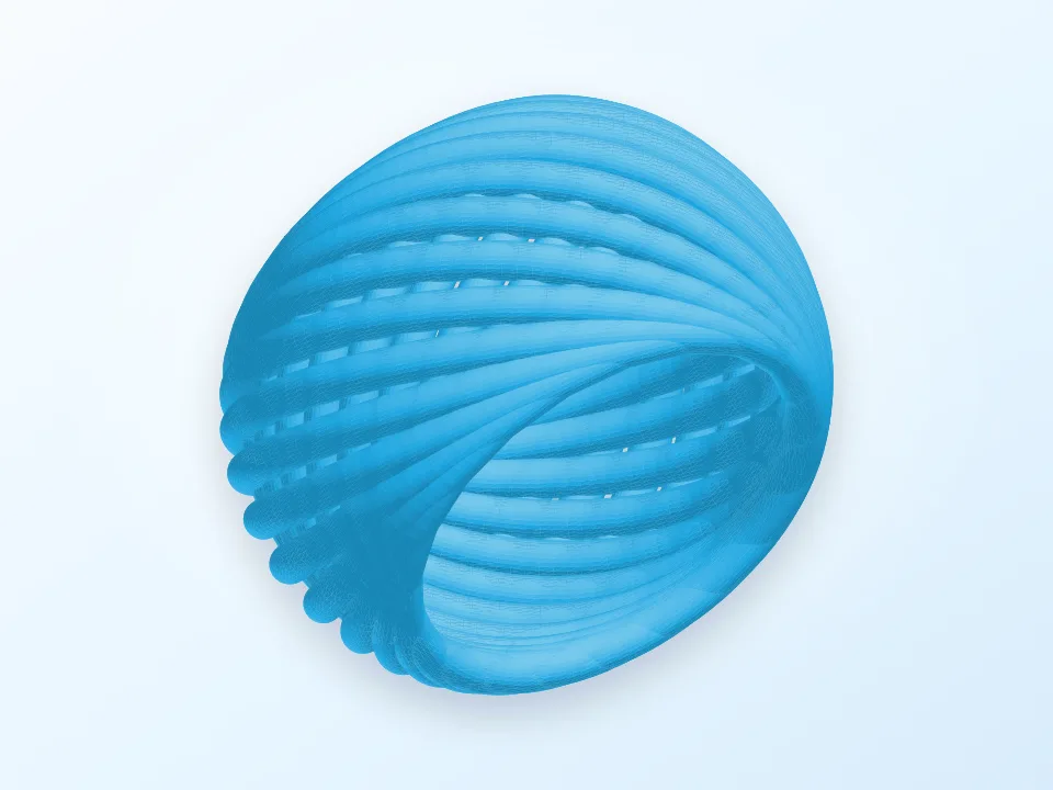Customizable Ring Thing 3D model preview