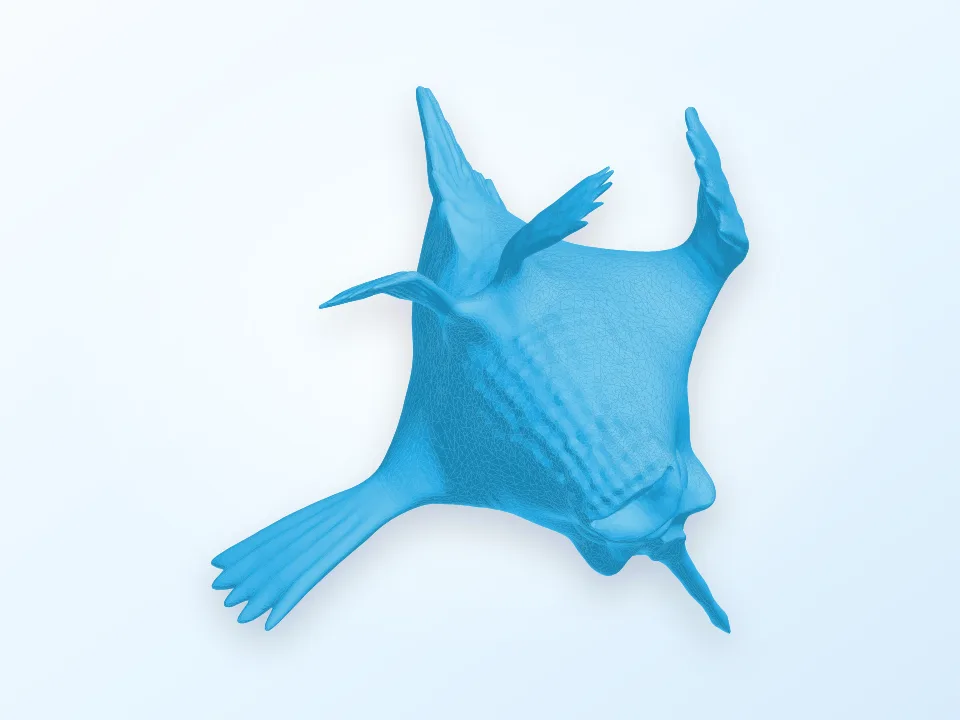 Wild Fish 3D model preview