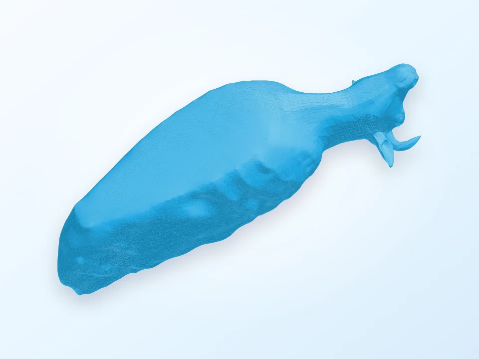 Duck/Bull 3D model preview
