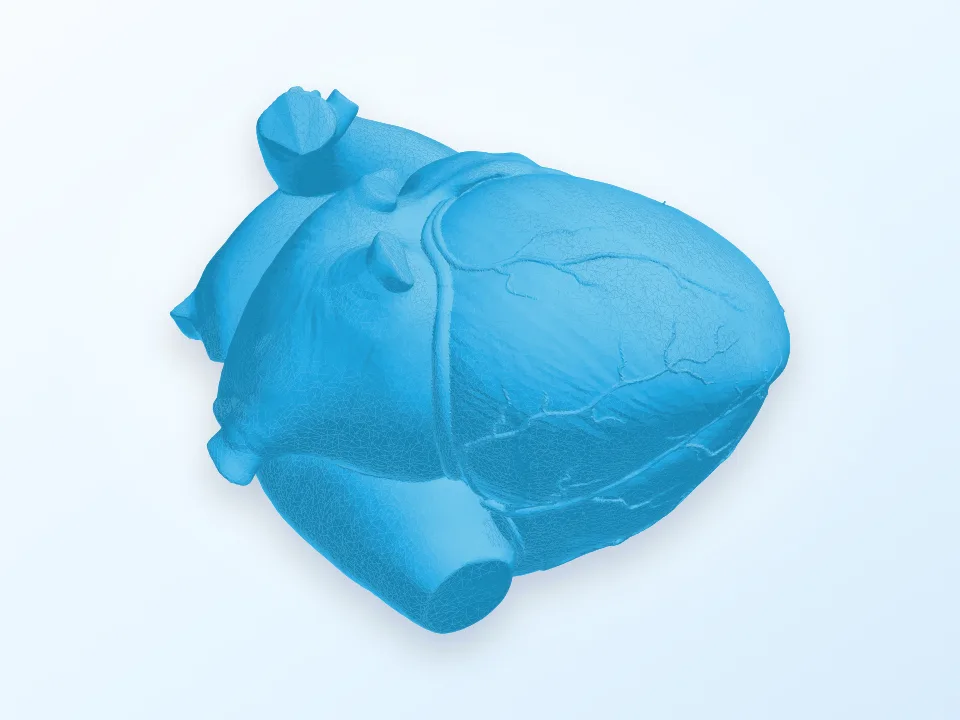 Corazon 3D model preview