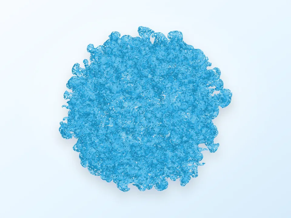 SN 1006 3D model preview