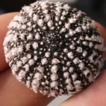 Featured image for Bead Blasting 3D Prints 7 Expert Secrets for Flawless Finishes 2025