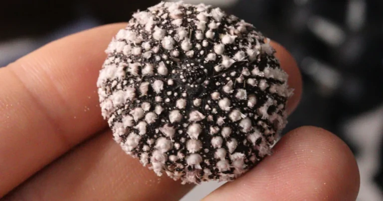 Featured image for Bead Blasting 3D Prints 7 Expert Secrets for Flawless Finishes 2025